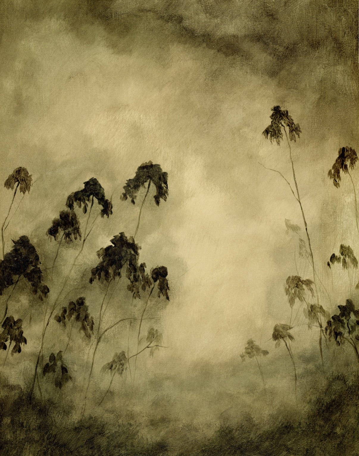 Jungle Reverie